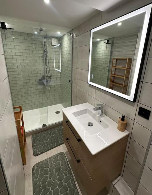 Le Briand 4etoiles Thermal Cosy Avec Terrasse Wifi Nancy